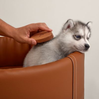 HERMES ドッグブラシ 犬用品 Dog brush | Hermès Hong Kong SAR